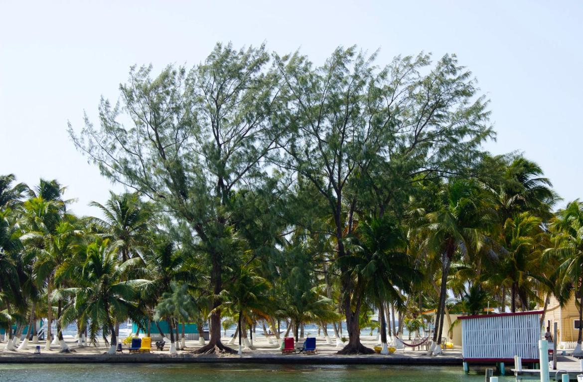 Blue Marlin Beach Resort ダンリガ エクステリア 写真