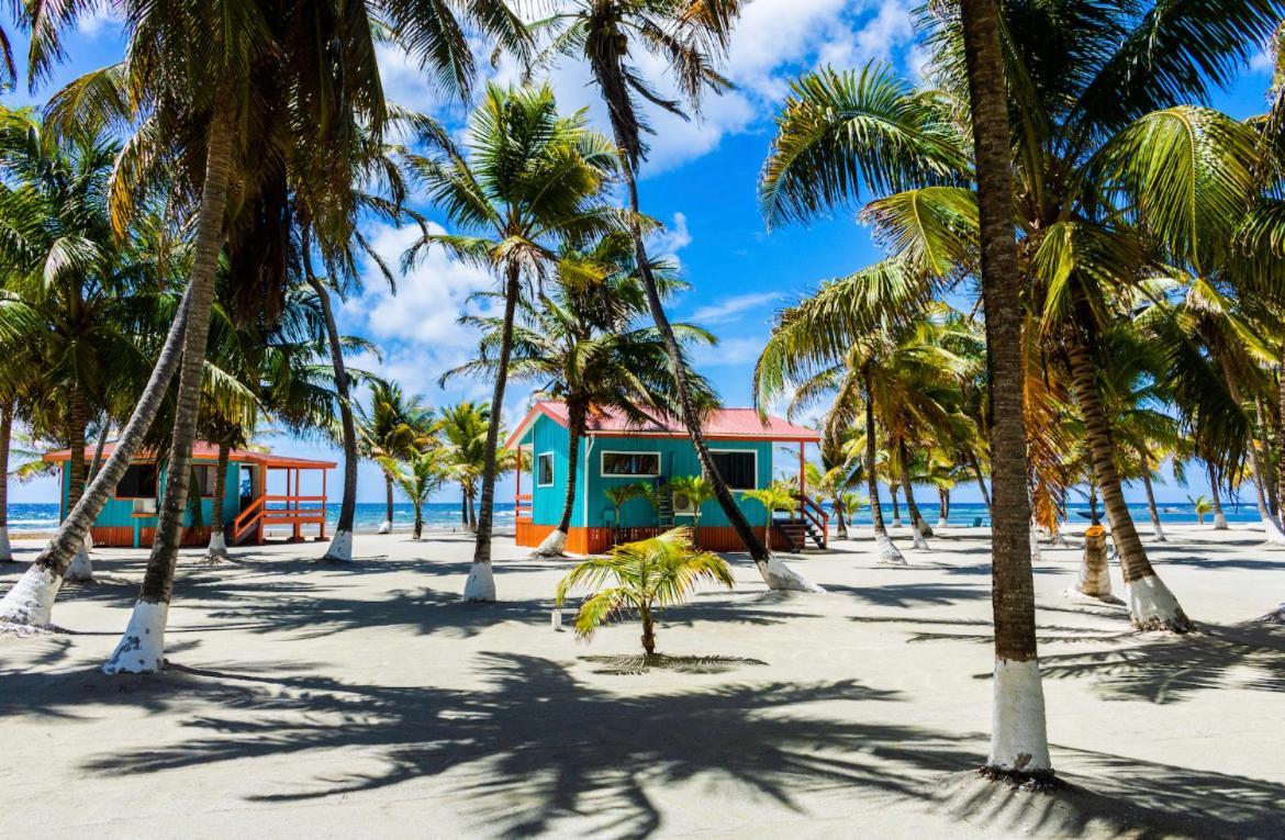 Blue Marlin Beach Resort ダンリガ エクステリア 写真