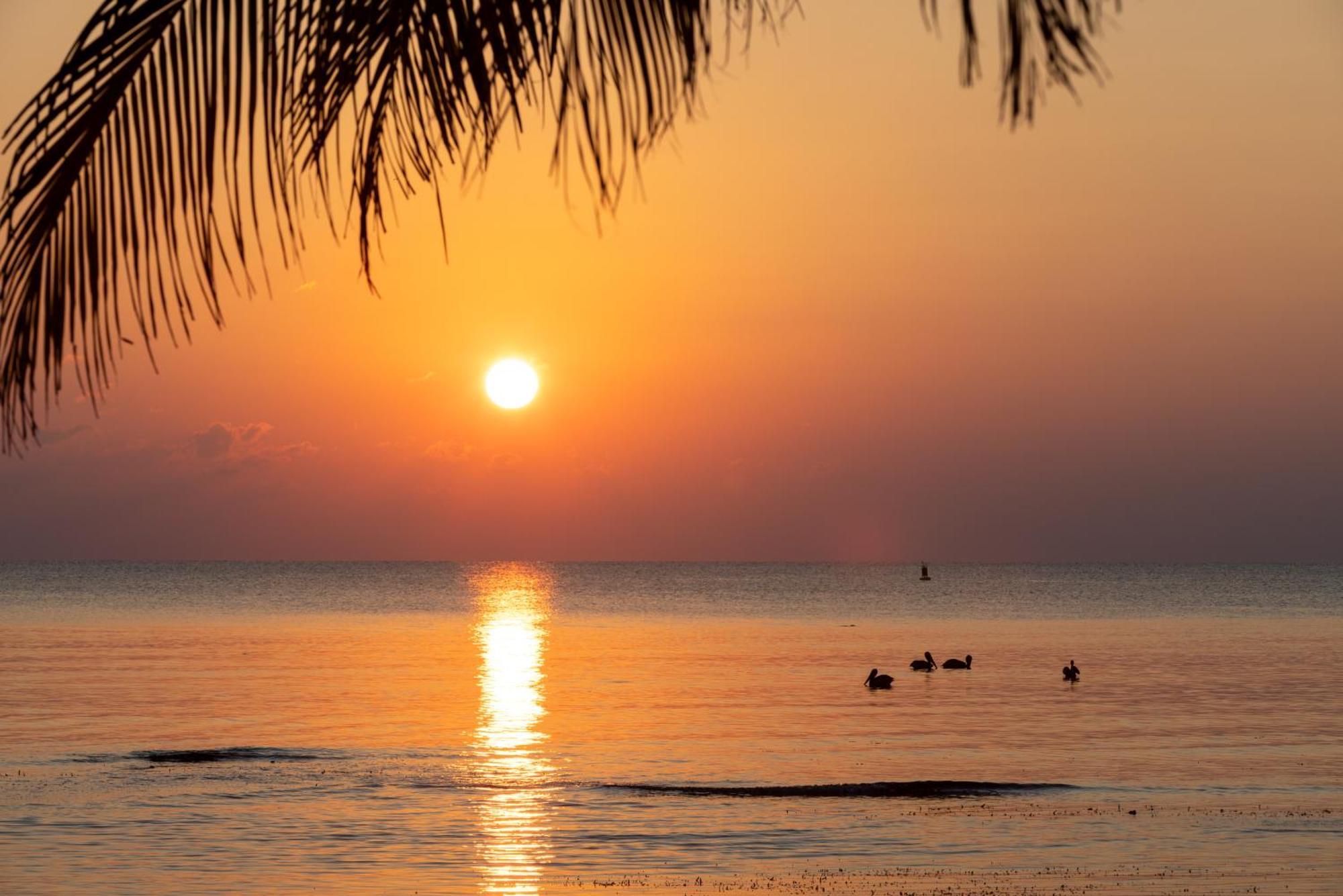 Blue Marlin Beach Resort ダンリガ エクステリア 写真