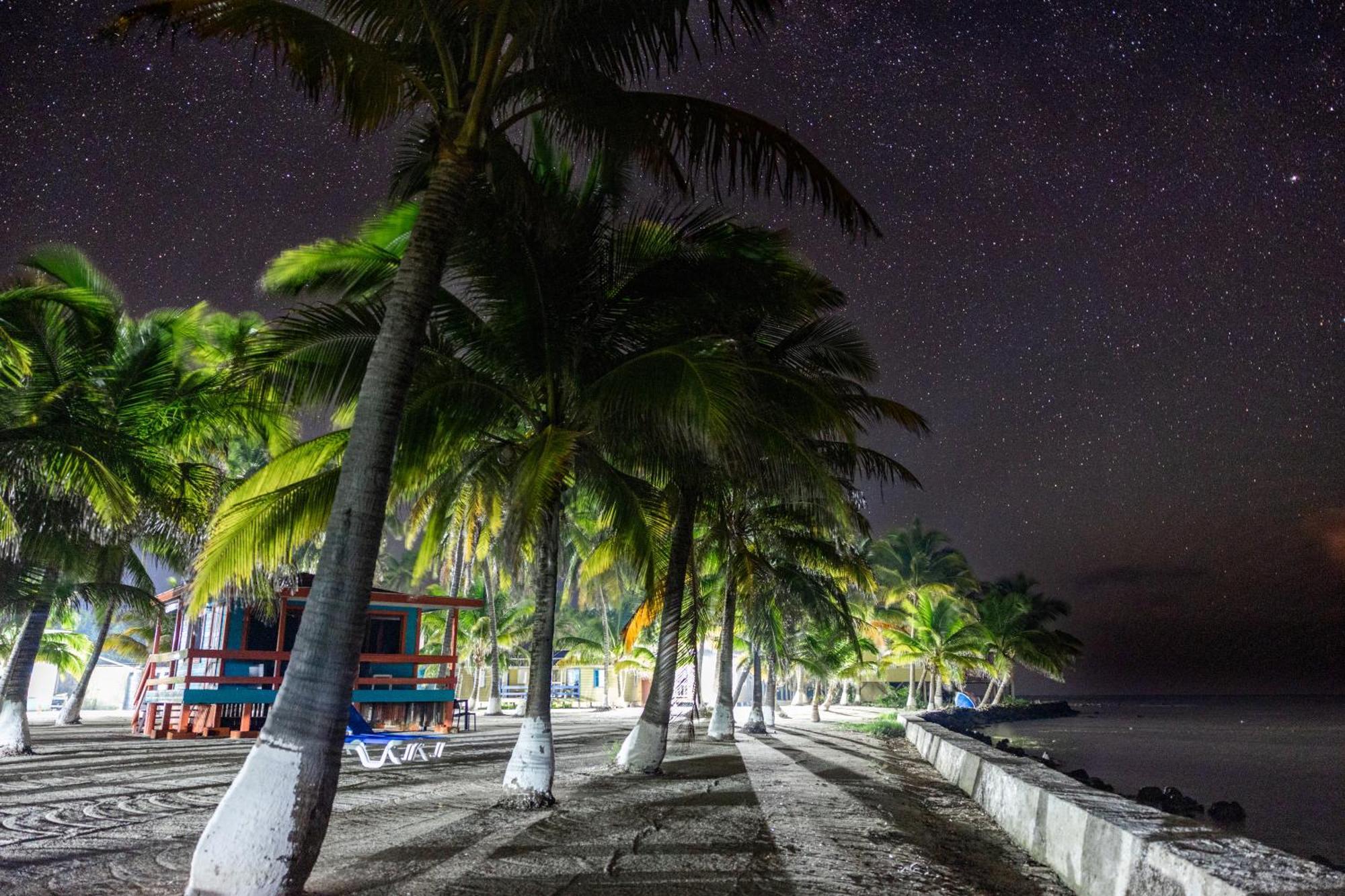 Blue Marlin Beach Resort ダンリガ エクステリア 写真