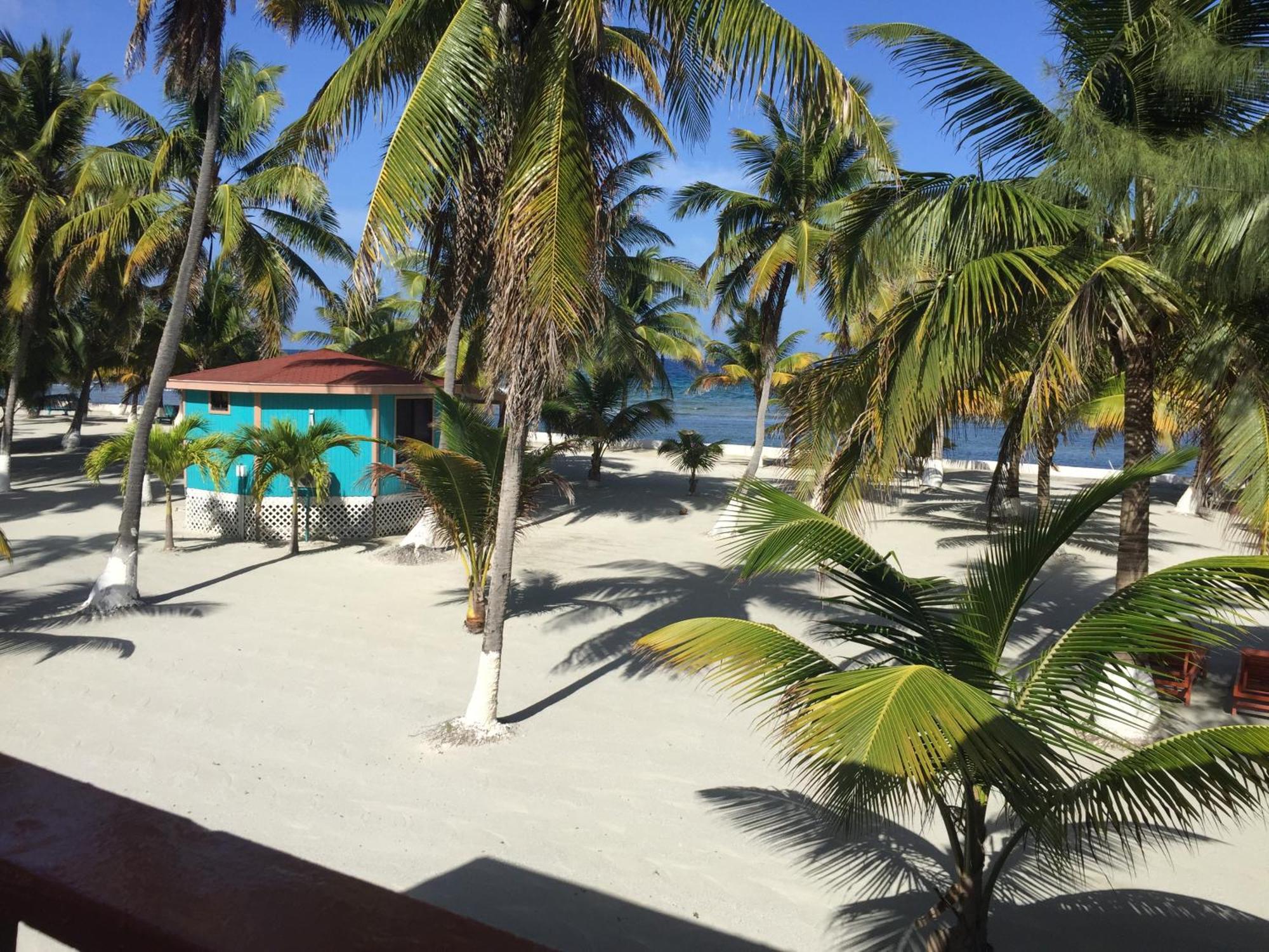 Blue Marlin Beach Resort ダンリガ エクステリア 写真