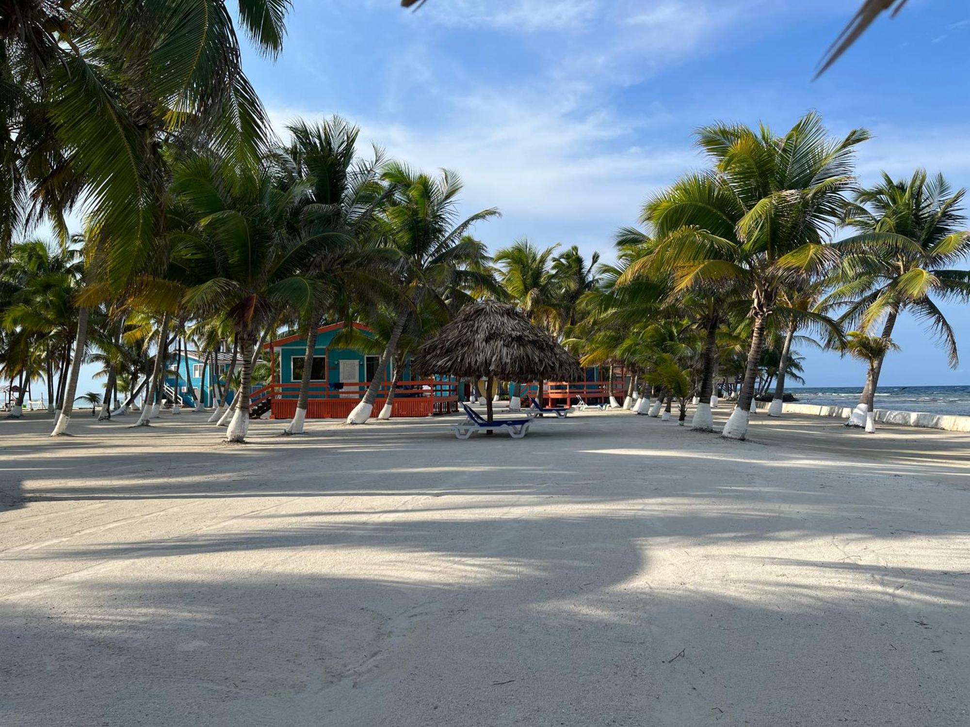 Blue Marlin Beach Resort ダンリガ エクステリア 写真