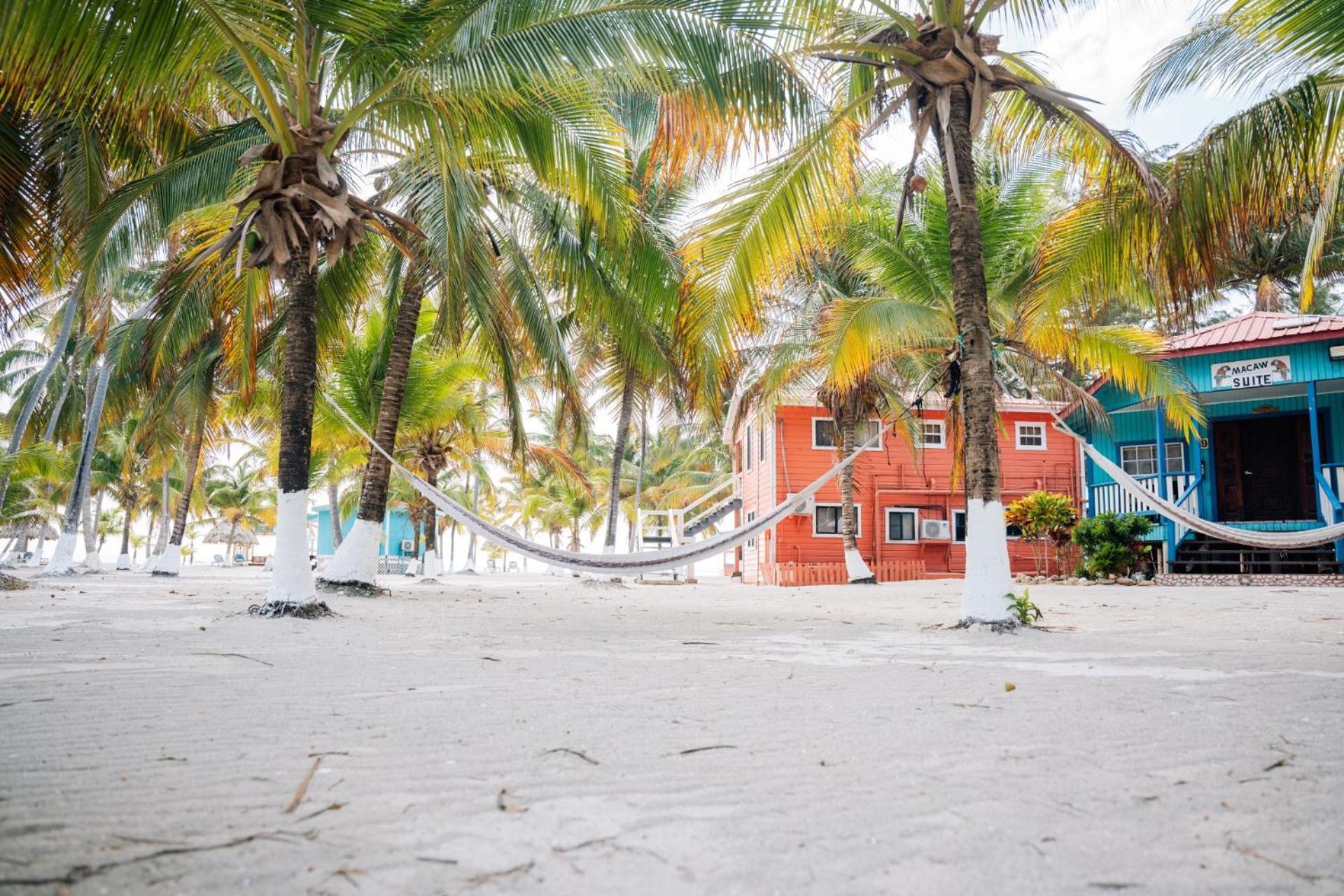 Blue Marlin Beach Resort ダンリガ エクステリア 写真