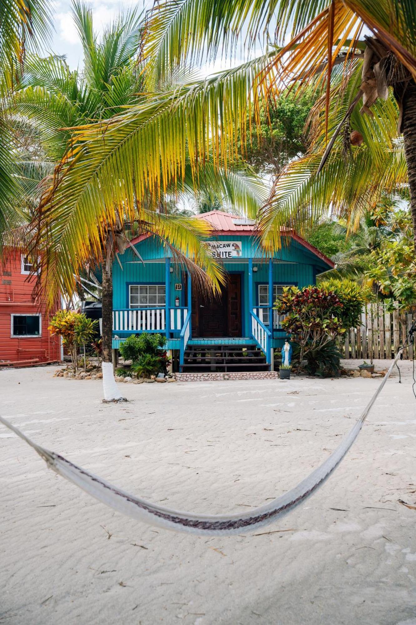 Blue Marlin Beach Resort ダンリガ エクステリア 写真