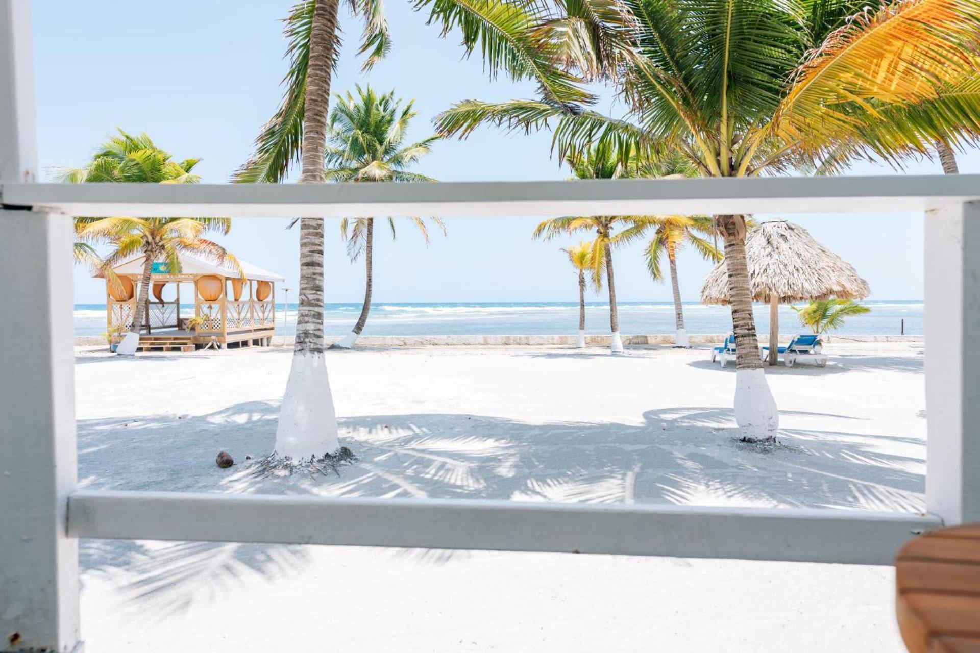 Blue Marlin Beach Resort ダンリガ エクステリア 写真