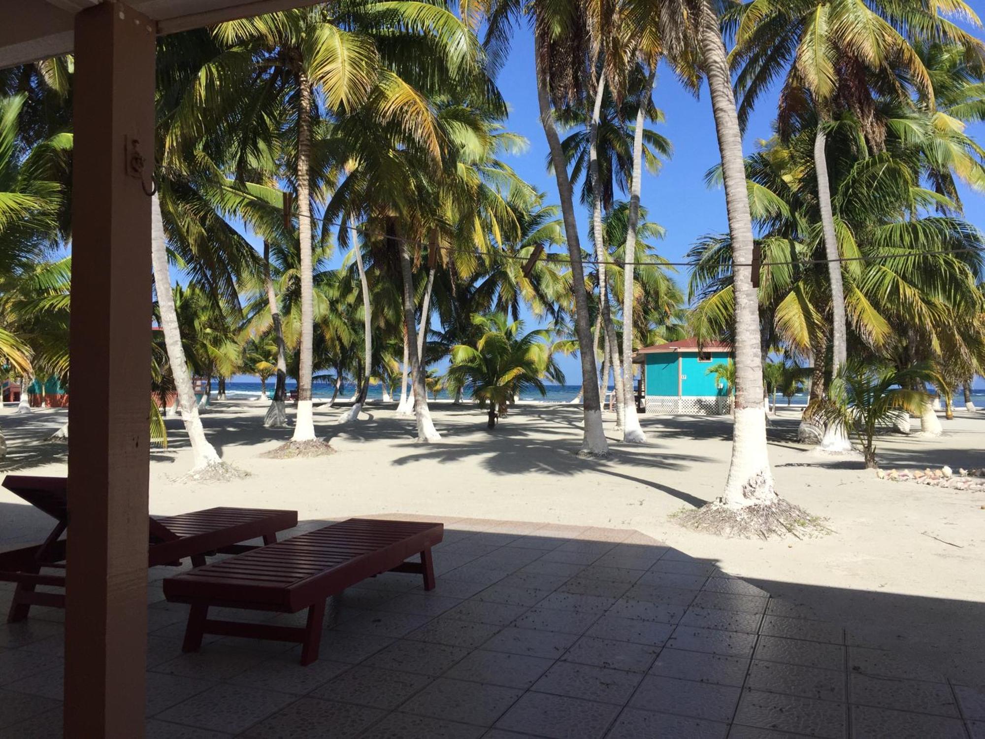 Blue Marlin Beach Resort ダンリガ エクステリア 写真